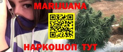 сатива Ирбит