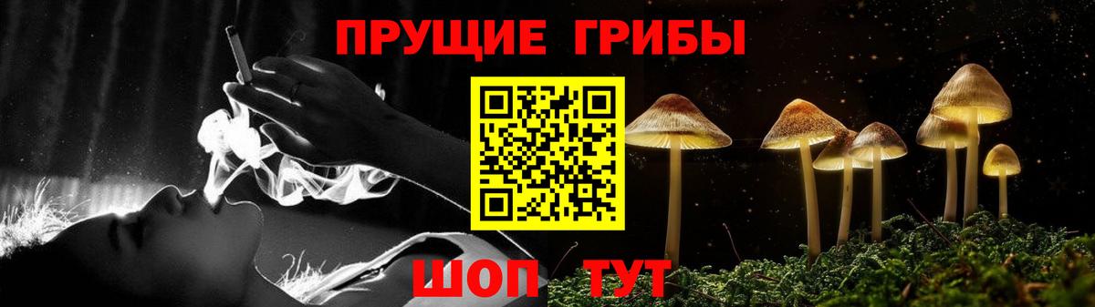 Галлюциногенные грибы GOLDEN TEACHER  Вход с VPN  Лесозаводск 